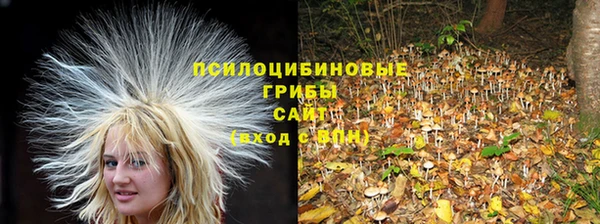 бутират Алзамай