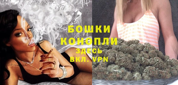 дживик Видное