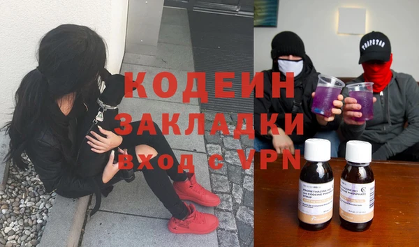 прущие грибы Алексеевка