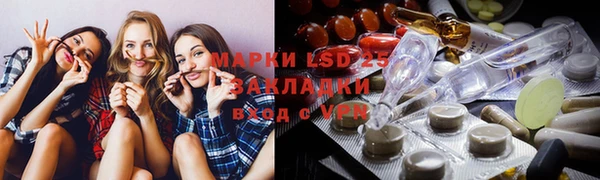 прущие грибы Алексеевка