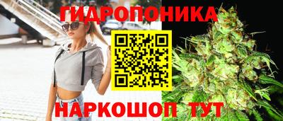 сатива Комсомольск-на-Амуре