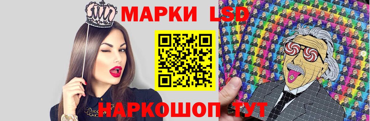 APVP Канаш