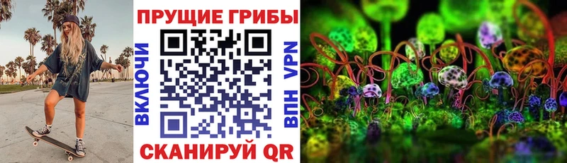 Псилоцибиновые грибы мицелий  даркнет какой сайт  Канаш 