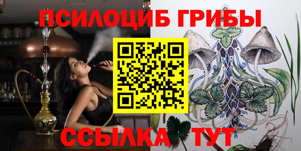 Галлюциногенные грибы Psilocybine cubensis Канаш
