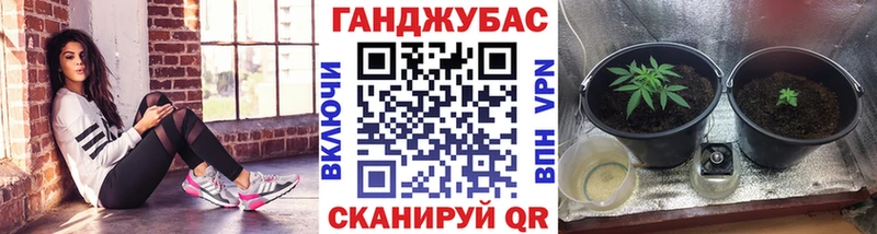 blacksprut ССЫЛКА  купить наркоту  Канаш  Каннабис конопля 